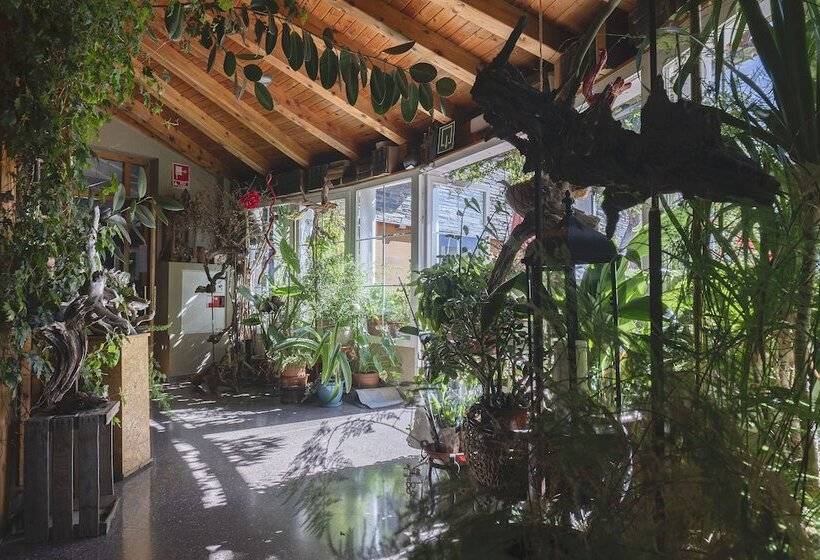 בית מלון כפרי Cardós