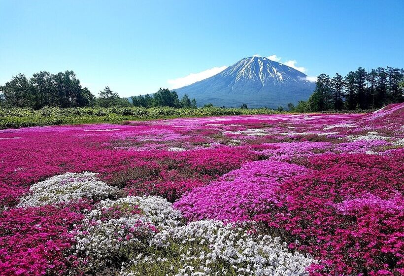 Hotel Midtown Niseko