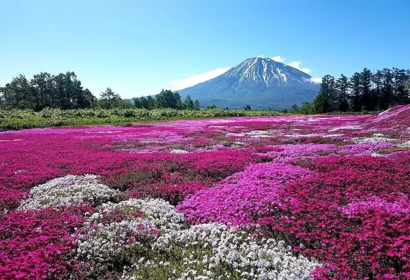 ホテル Midtown Niseko