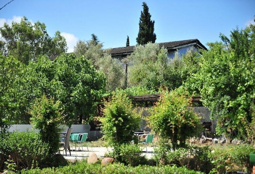 Пансион Auberge Dardara