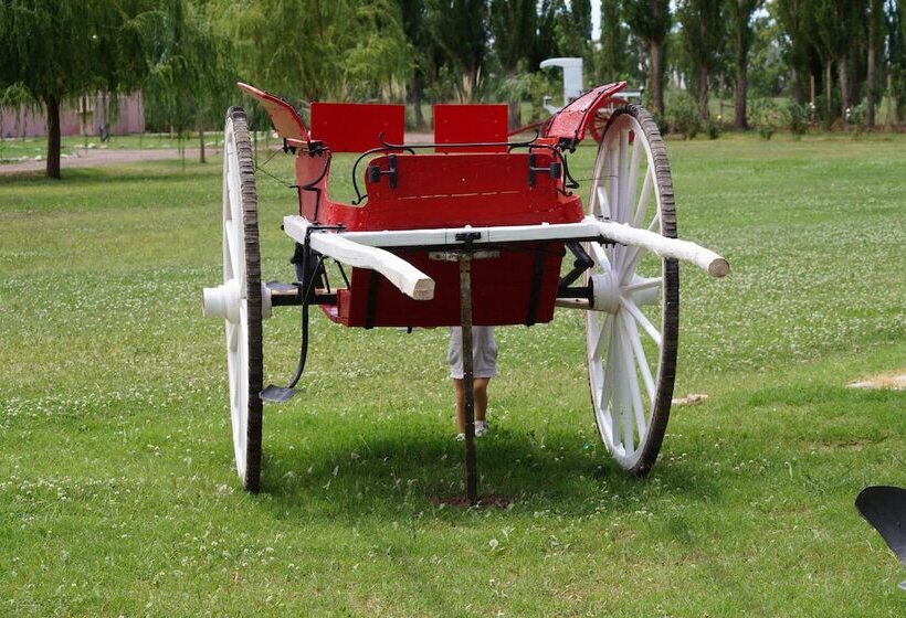 Complejo Río Los Patos Cabañas Y Hostel