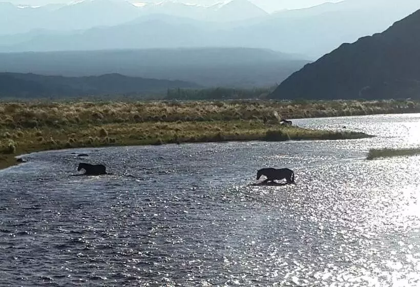 Complejo Río Los Patos   Cabañas Y Hostel