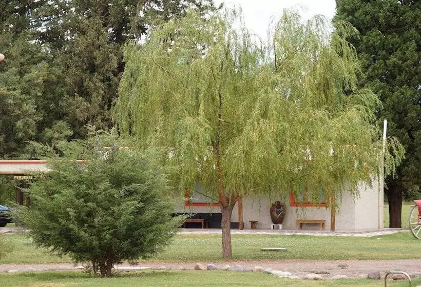 Complejo Río Los Patos   Cabañas Y Hostel