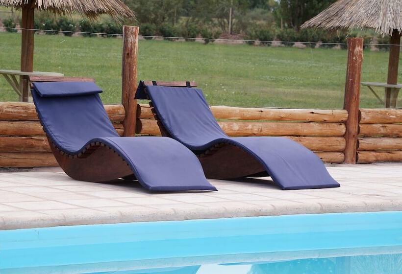 Complejo Río Los Patos Cabañas Y Hostel