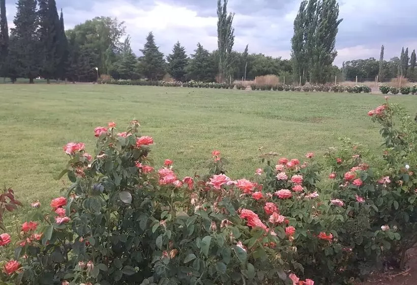 Complejo Río Los Patos   Cabañas Y Hostel