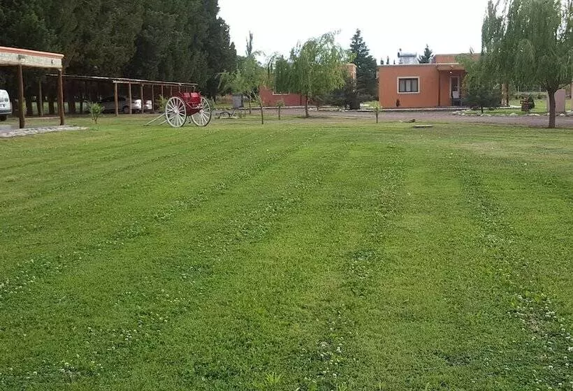 Complejo Río Los Patos   Cabañas Y Hostel