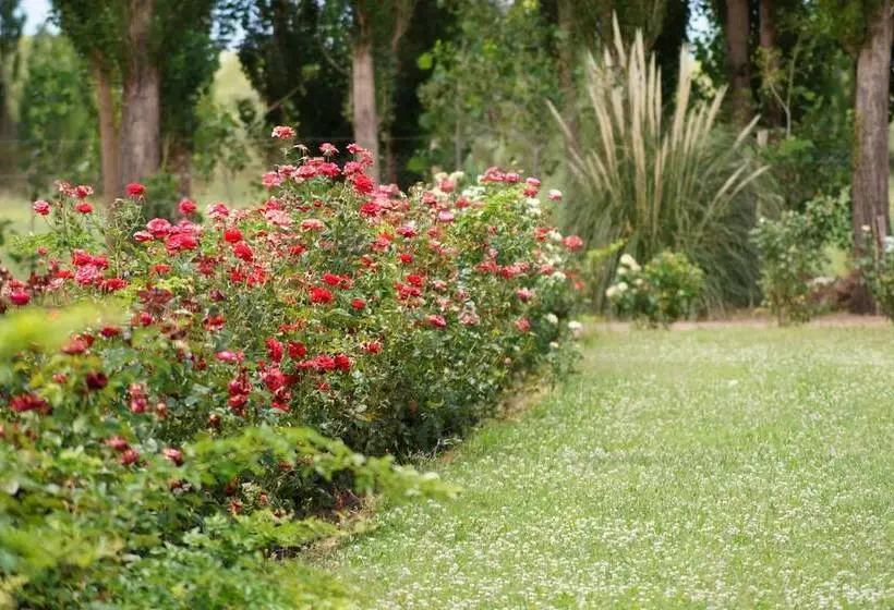 Complejo Río Los Patos   Cabañas Y Hostel