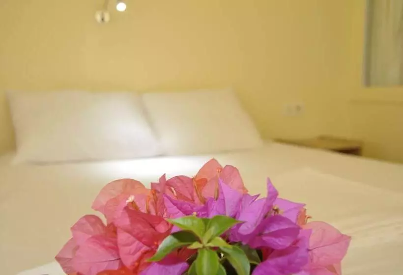 Koc Pension Kekova