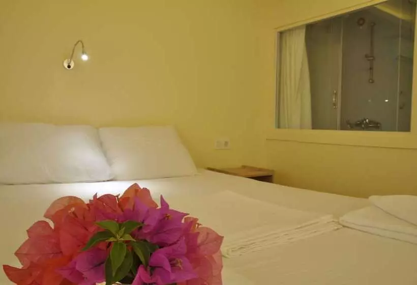 Koc Pension Kekova