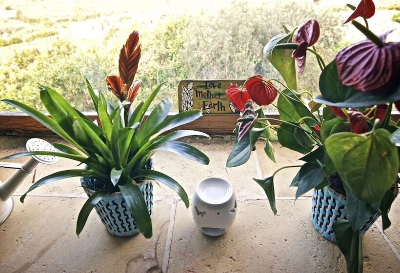 پانسیون Dar Ix Xemx