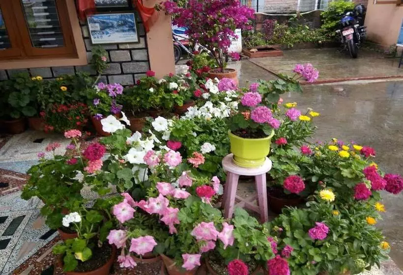 پانسیون Galaxy Inn Guest House