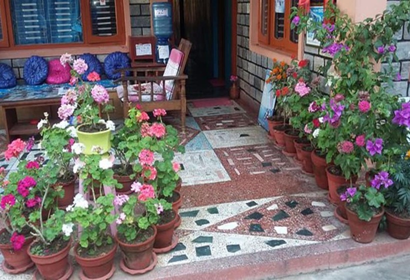 پانسیون Galaxy Inn Guest House