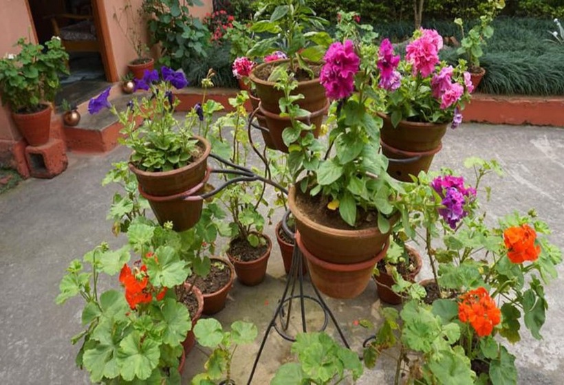 پانسیون Galaxy Inn Guest House