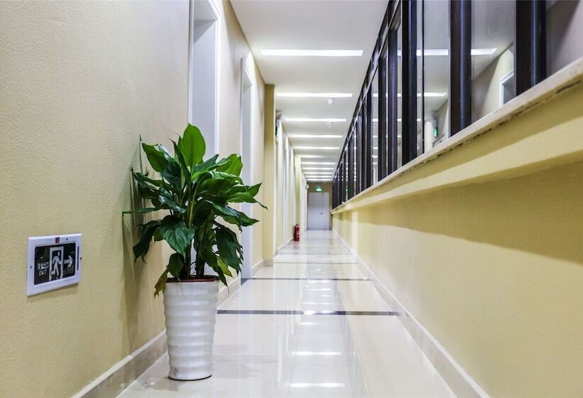 Pensão Mew Expression Inn