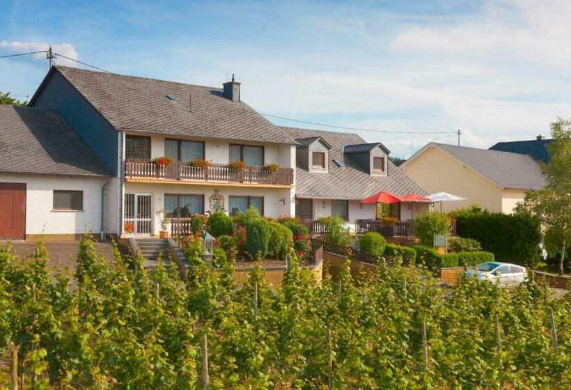 Pension Und Weingut Moselblick
