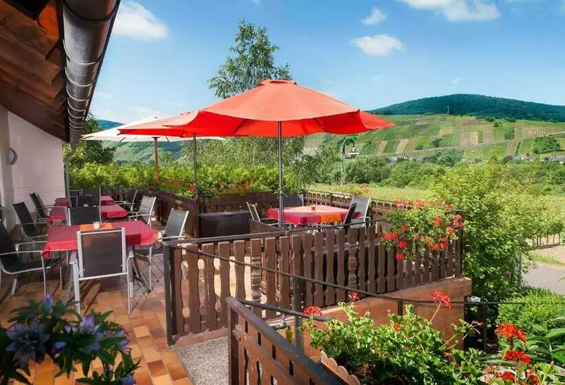 Pension Und Weingut Moselblick