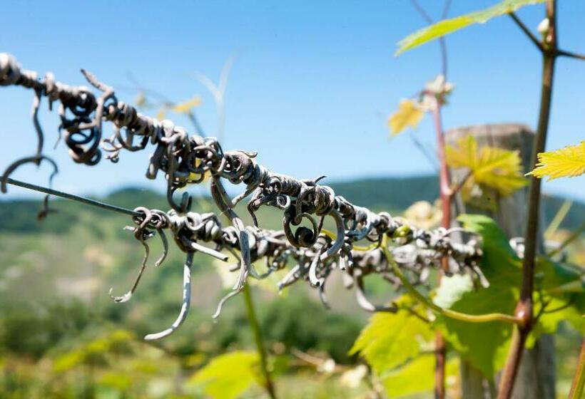 Pension Und Weingut Moselblick