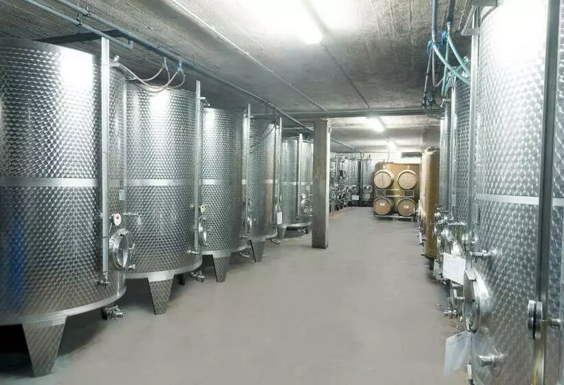 Pension Und Weingut Moselblick