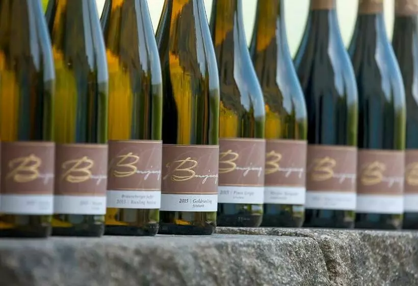 Pension Und Weingut Moselblick