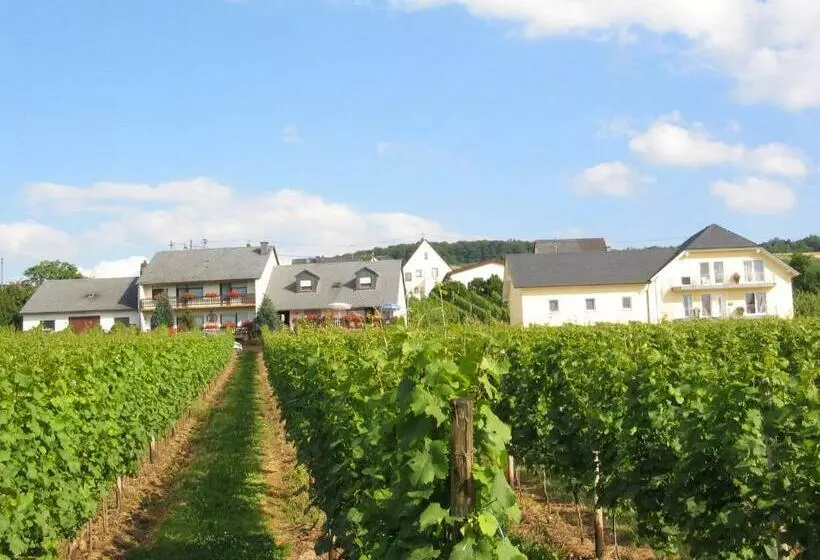 Pension Und Weingut Moselblick