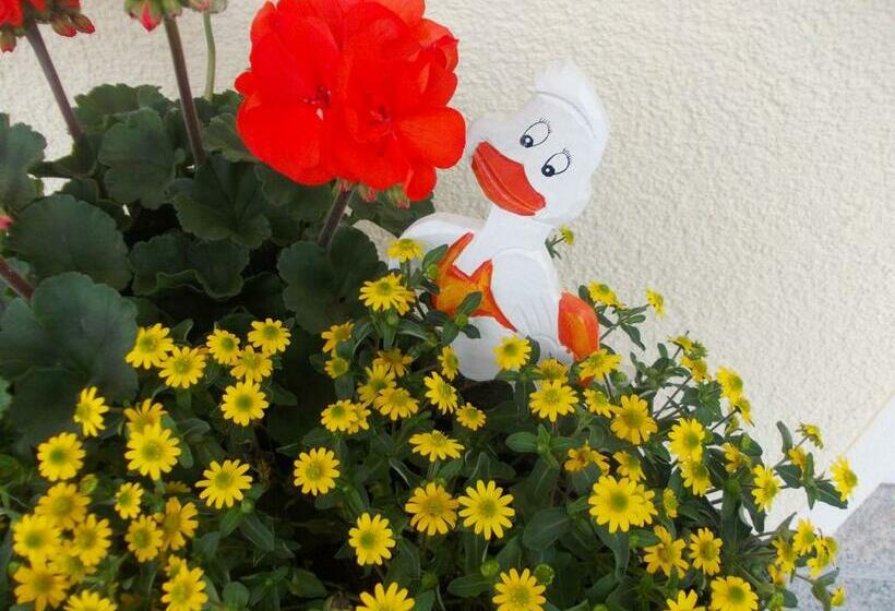 Pension Und Weingut Moselblick