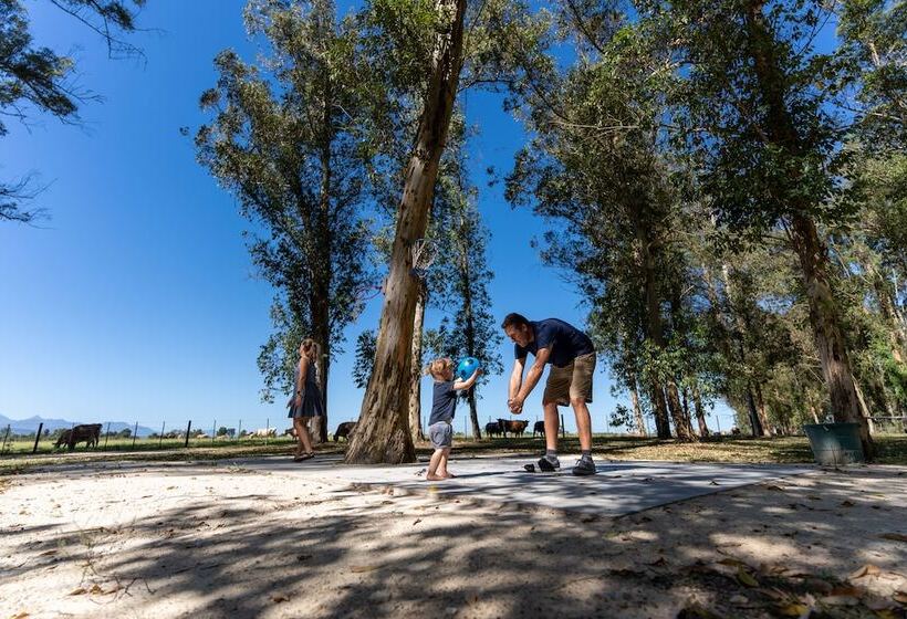 בית מלון כפרי Africamps At Oakhurst  Glamping