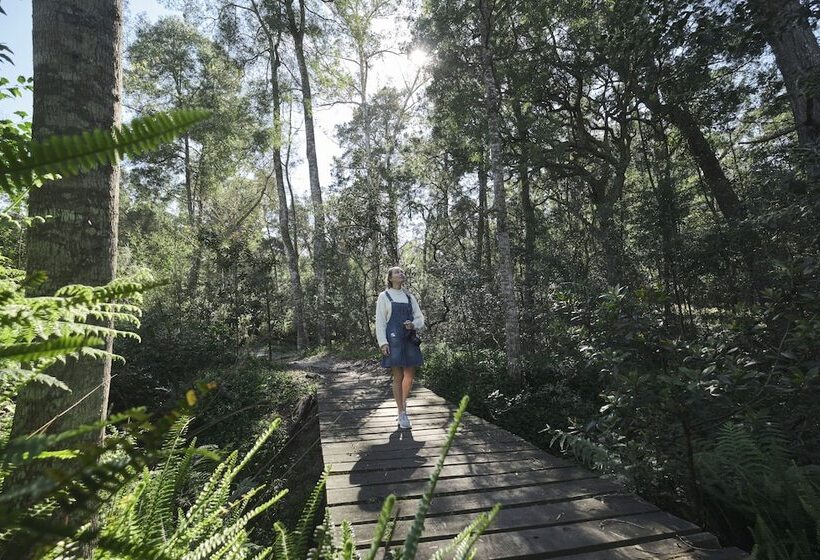 בית מלון כפרי Africamps At Oakhurst  Glamping