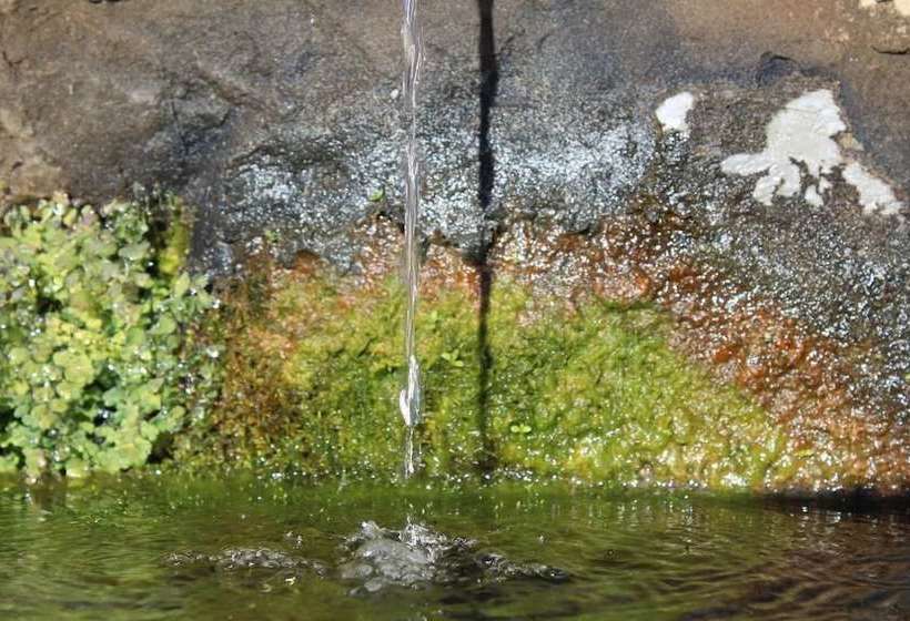 La Casita Alpujarreña