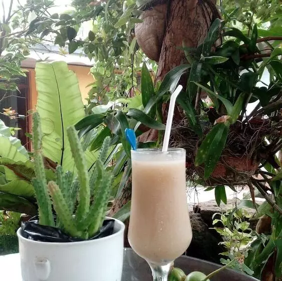 ペンション Dinesh Homestay