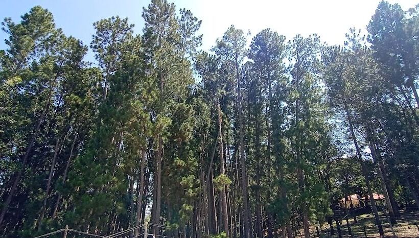 Pension Lilara Hills   Diyatalawa