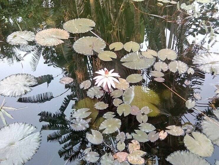 پانسیون Poivre & Citronnelle