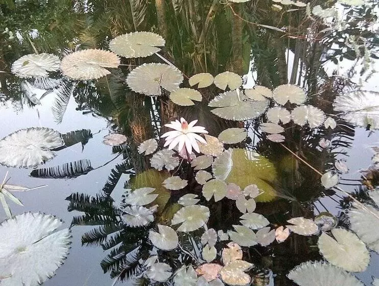 پانسیون Poivre & Citronnelle