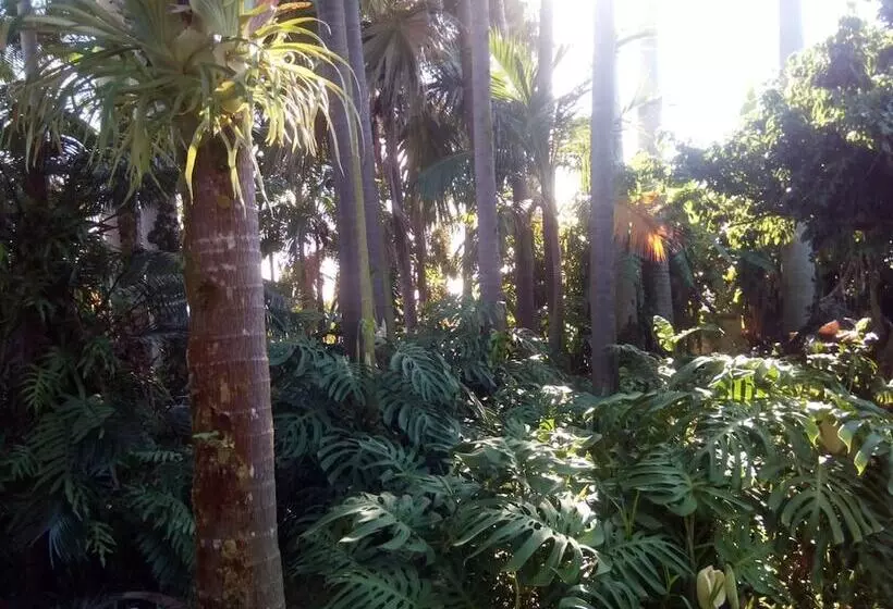 پانسیون Poivre & Citronnelle