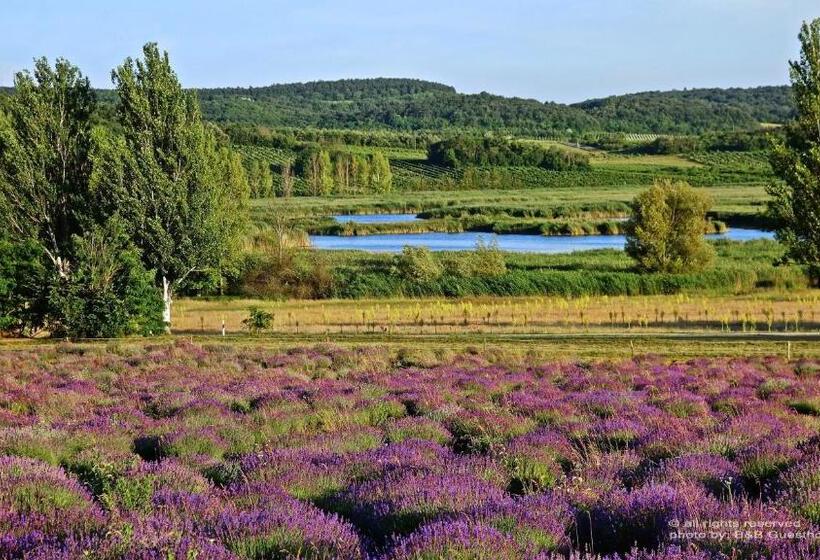 Pension B B Guesthouse Tihany