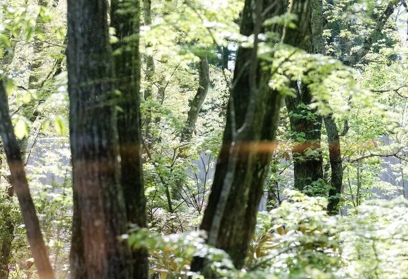 旅館 Yufuin Sanso Warabino