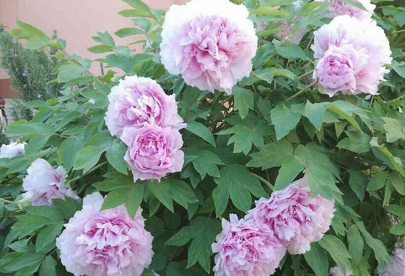 Apartment Marjan Park