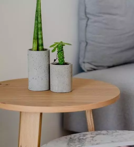 Hotelli Messinian Icon