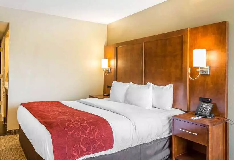 Отель Comfort Inn & Suites Aberdeen