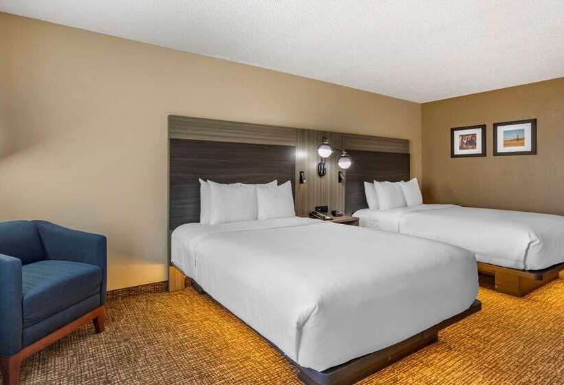 فندق Comfort Inn & Suites North Dallasaddison