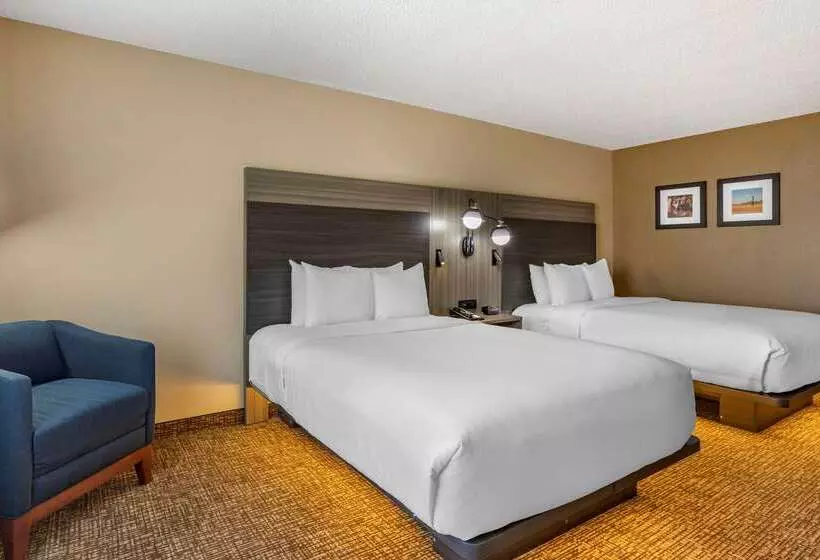 ホテル Comfort Inn & Suites North Dallasaddison