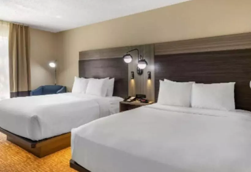 ホテル Comfort Inn & Suites North Dallasaddison
