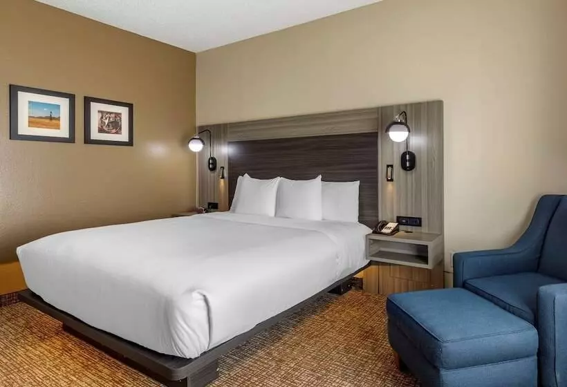 ホテル Comfort Inn & Suites North Dallasaddison