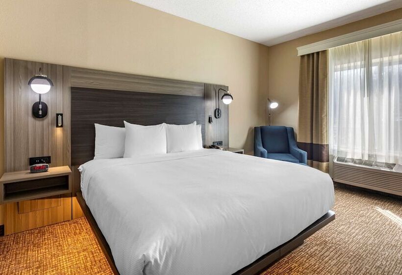 فندق Comfort Inn & Suites North Dallasaddison