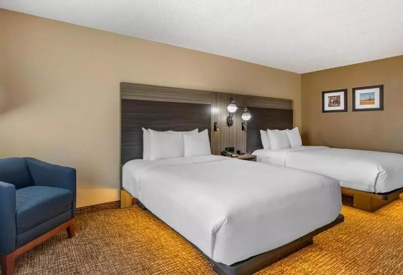 ホテル Comfort Inn & Suites North Dallasaddison