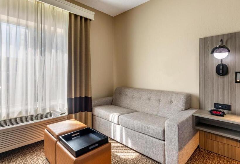 فندق Comfort Inn & Suites North Dallasaddison