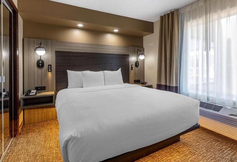 فندق Comfort Inn & Suites North Dallasaddison