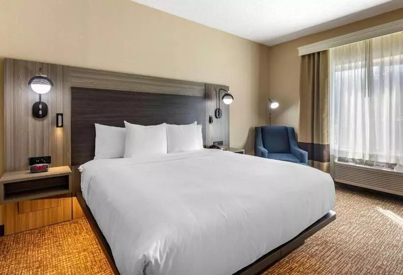 ホテル Comfort Inn & Suites North Dallasaddison