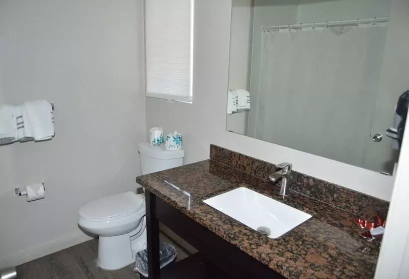 ホテル Glass Slipper Inn  Stanford Palo Alto