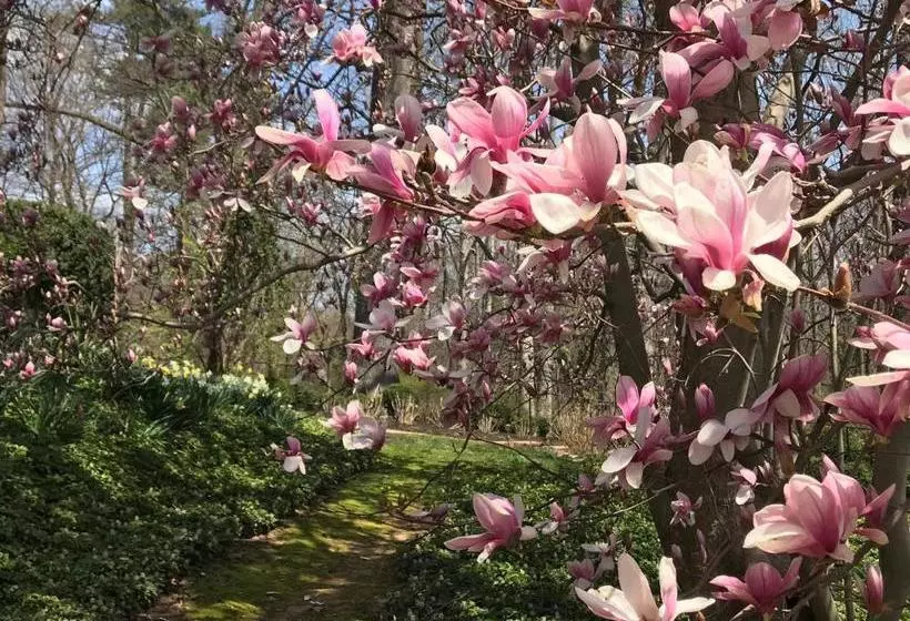 Отель Gramercy Mansion