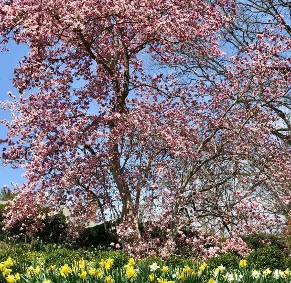 Отель Gramercy Mansion